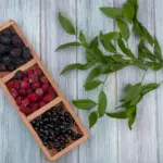 Swedish garden berries assortment