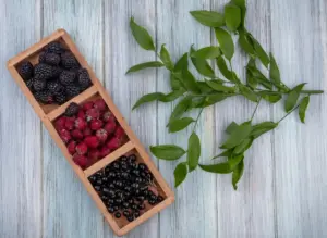 Swedish garden berries assortment