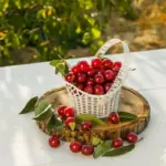red currant bush garden care