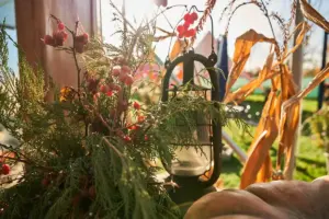 urban balcony tomato gardening Sweden