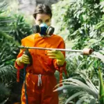 organic vegetable pest control garden
