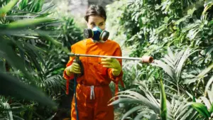 organic vegetable pest control garden