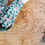 vegetable garden planting mistakes tips Sweden