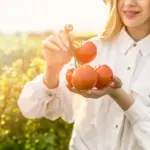 Swedish garden tomatoes growing tips sunlight soil watering
