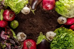 Swedish vegetable garden varieties