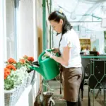 easy beginner vegetable garden balcony Sweden