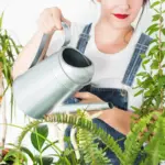 green healthy houseplants leaves care Sweden