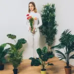 green houseplants blooming indoors year round