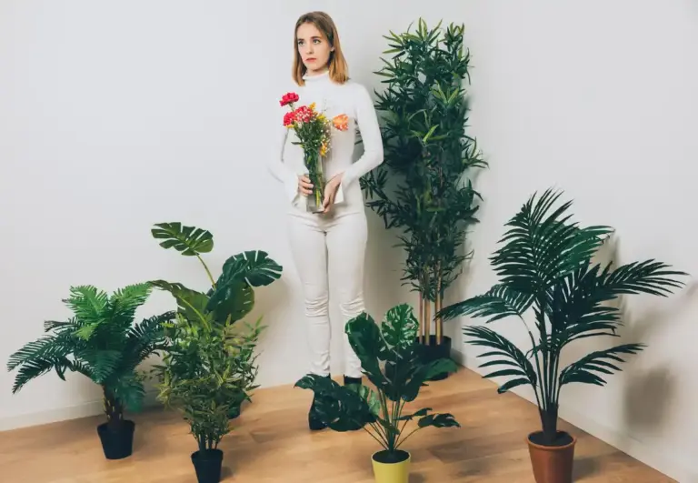 green houseplants blooming indoors year round