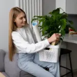 indoor houseplants thriving in Swedish home