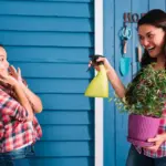 houseplants pest control and blooming plants
