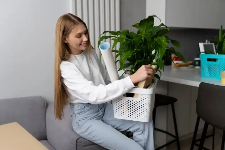 easy indoor houseplants for beginners