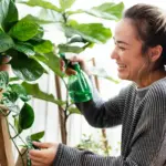 talking to plants science