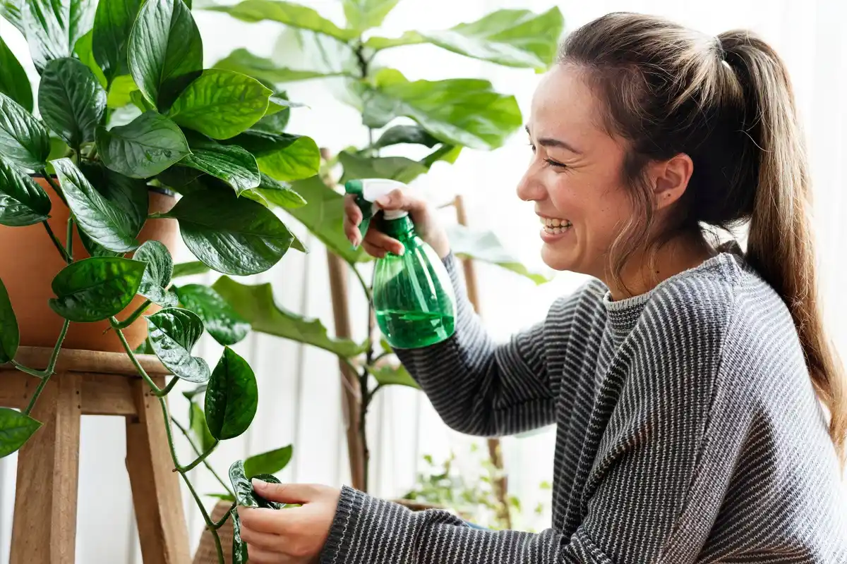talking to plants science