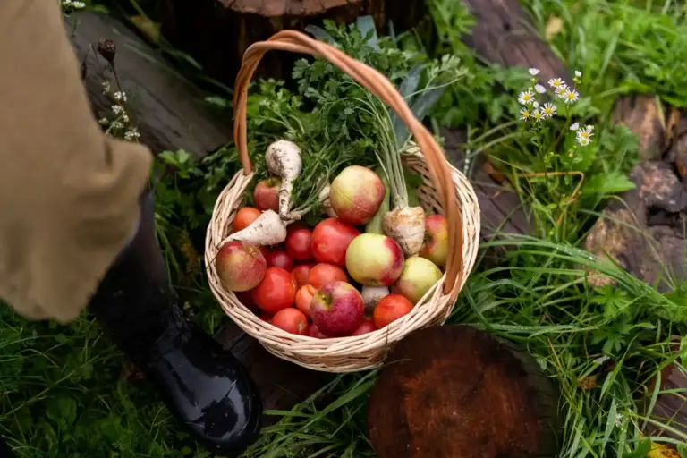 Swedish fruit tree garden apple pear cherry