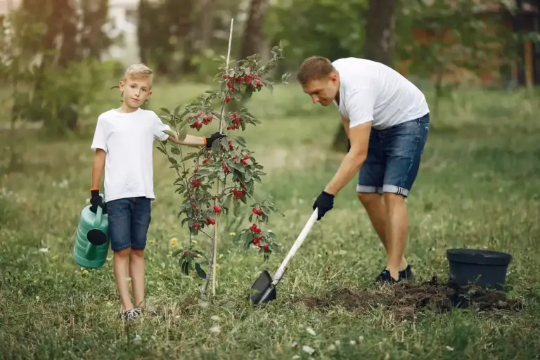 fruit tree planting garden Sweden