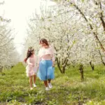 fruit orchard backyard Sweden spring
