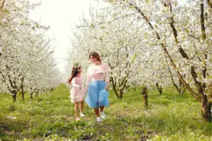 fruit orchard backyard Sweden spring