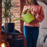 indoor houseplants winter care