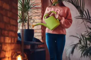 indoor houseplants winter care