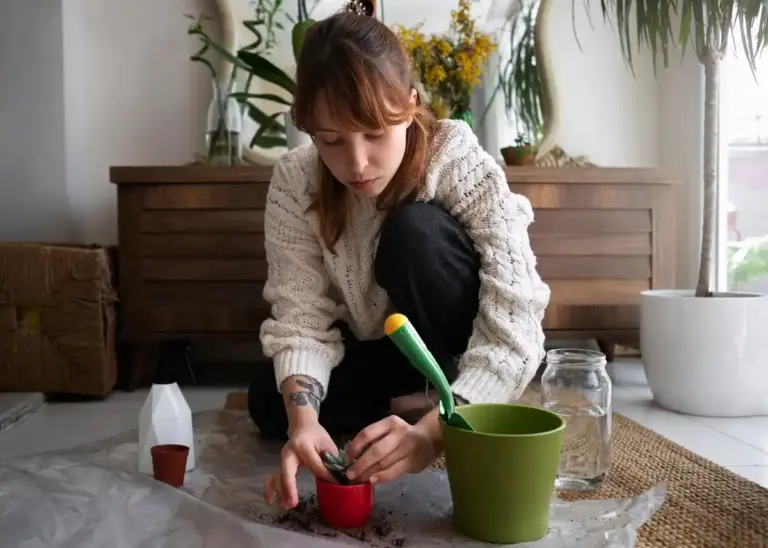 indoor potted plants dying care tips