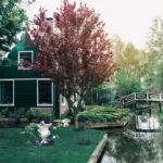lush green garden cozy outdoor space Sweden
