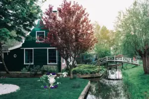 lush green garden cozy outdoor space Sweden