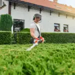 lawn mower Swedish garden summer