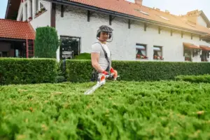 lawn mower Swedish garden summer