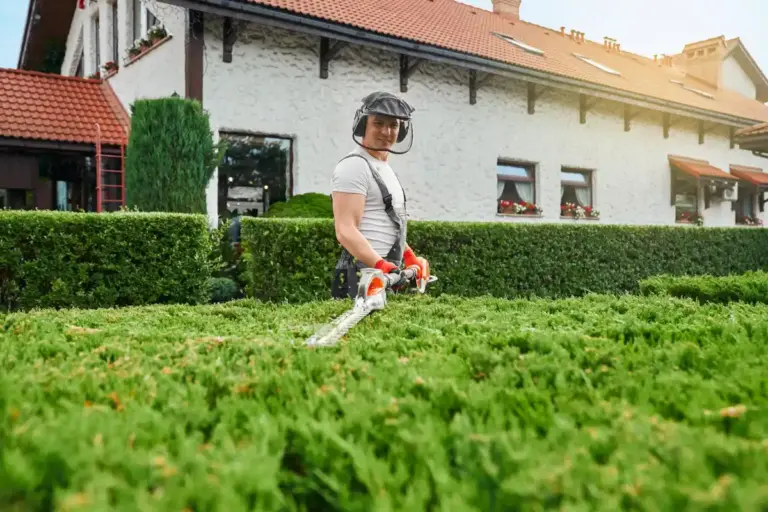 lawn mower Swedish garden summer