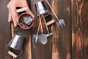 garden tools maintenance and replacement