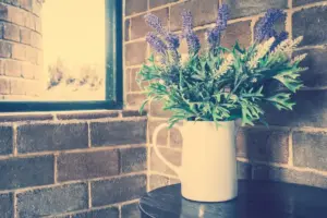 Basil plant indoor windowsill Swedish summer