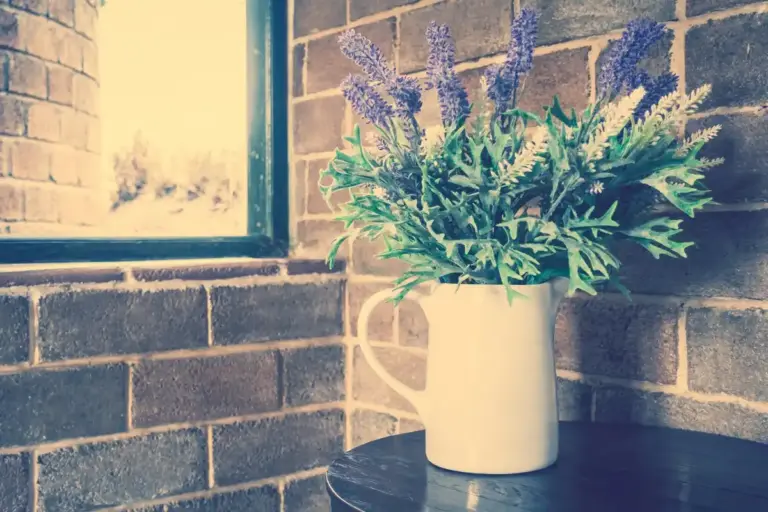 Basil plant indoor windowsill Swedish summer