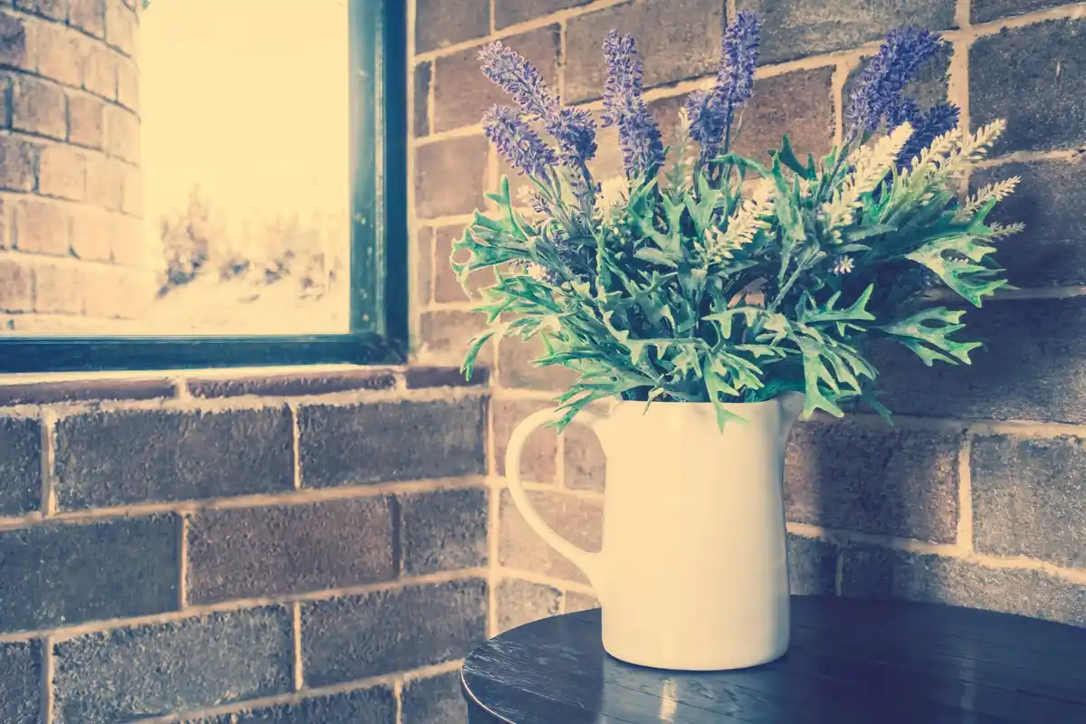 Basil plant indoor windowsill Swedish summer