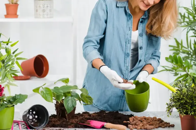 home vegetable garden tips growing plants