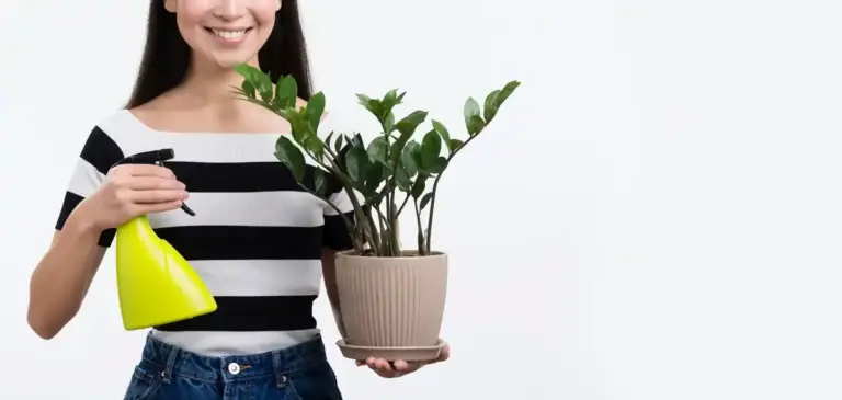 houseplant pests removal simple tips