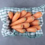 large juicy carrots gardening mulch