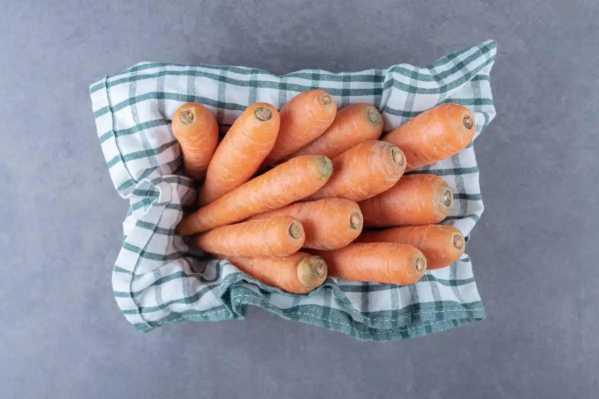 large juicy carrots gardening mulch
