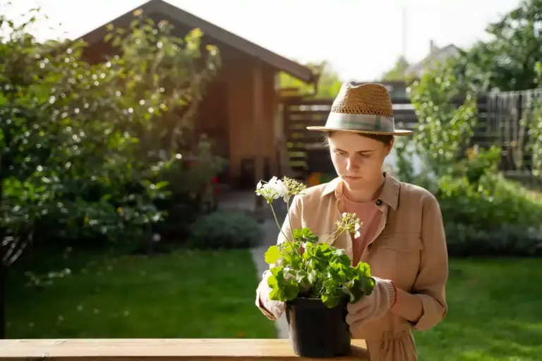 easy vegetables to grow for beginners in Sweden garden