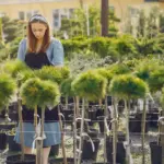 professional garden design sweden