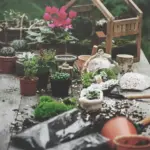affordable Scandinavian garden design ideas