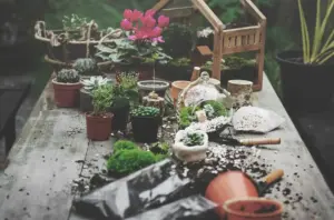 affordable Scandinavian garden design ideas