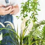 smart garden design Sweden easy maintenance