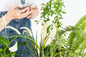 smart garden design Sweden easy maintenance