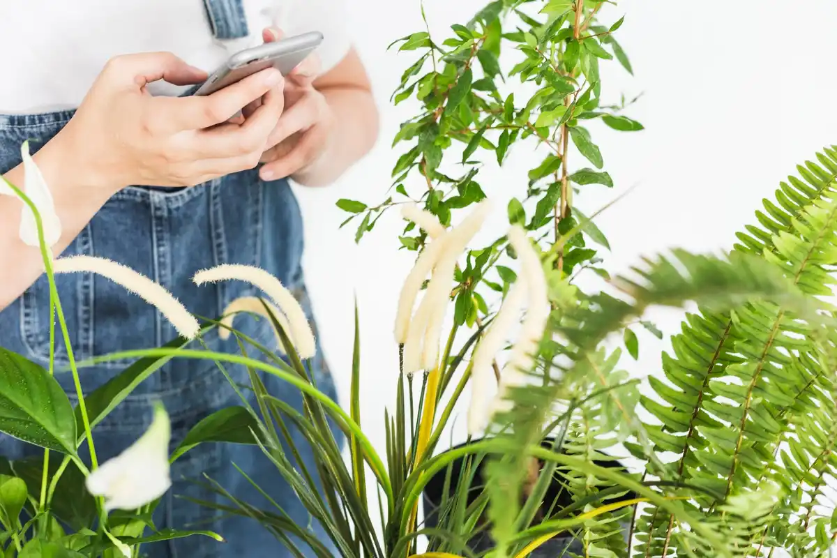 smart garden design Sweden easy maintenance