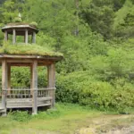 Swedish garden styles outdoor landscaping