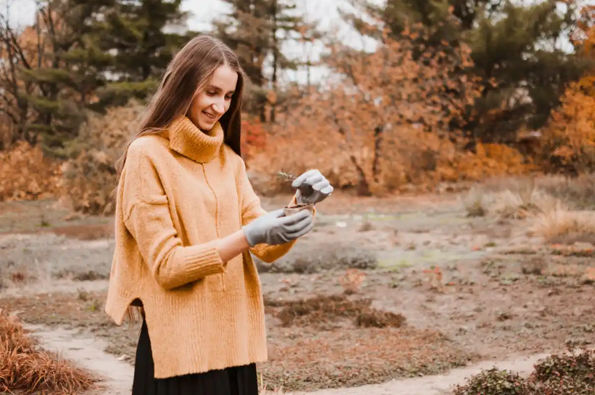 Swedish garden composting tips outdoor