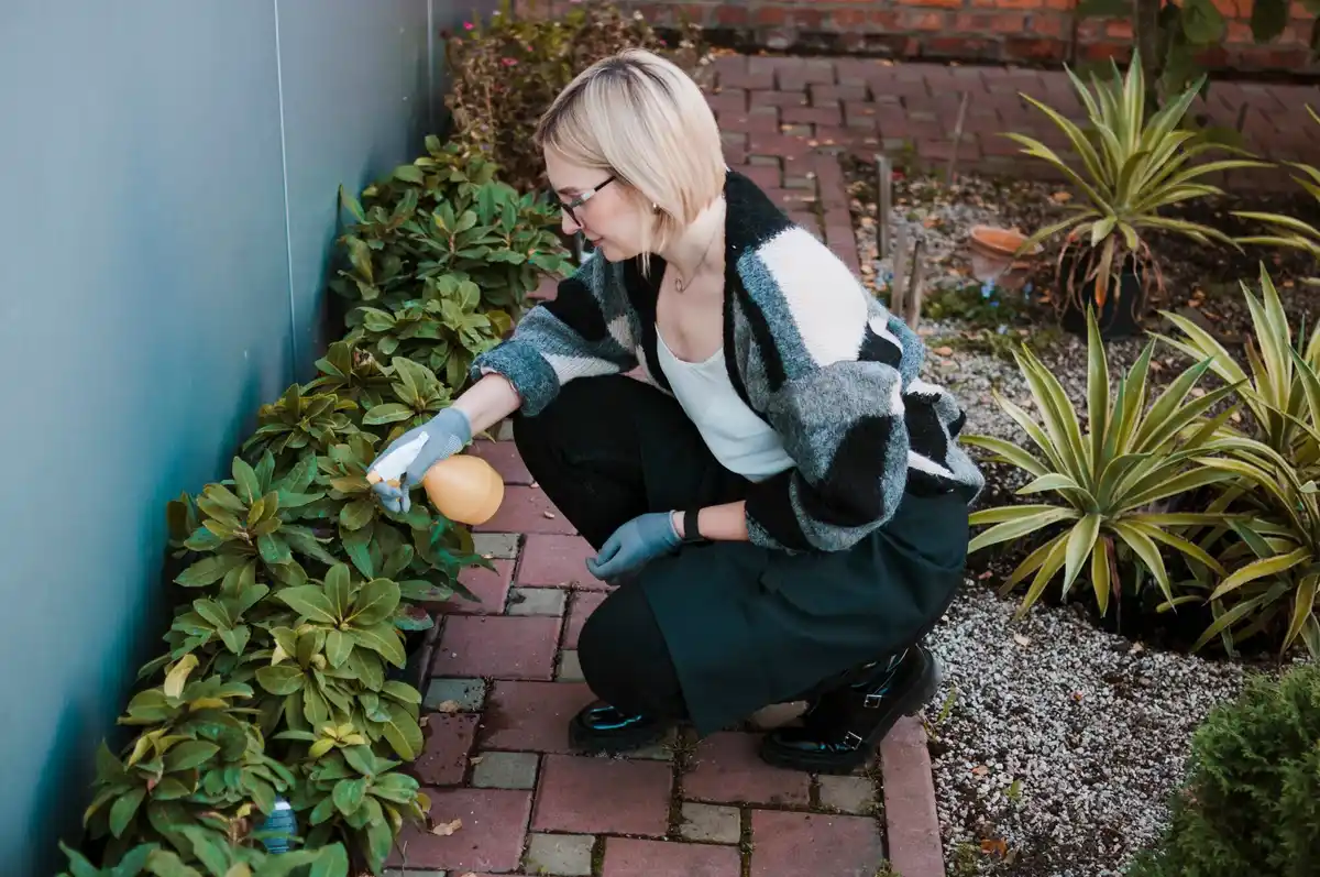 home composting tips lush garden Sweden
