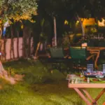 cozy inviting summer garden backyard lighting plants seating