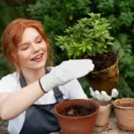 beautiful swedish garden beginner tips